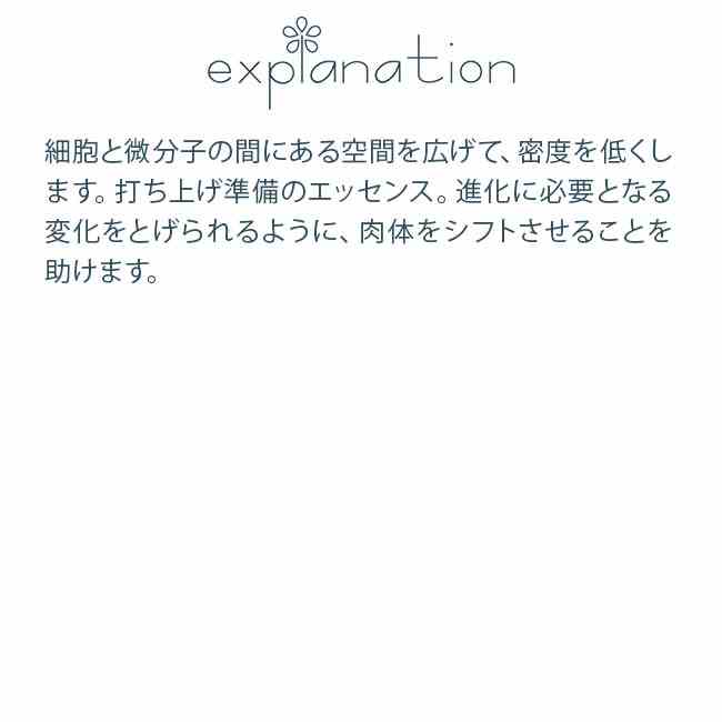 エステバン　日本香堂　エスプリドナチュール　ツバキ　お香　スティック40本　インセンス