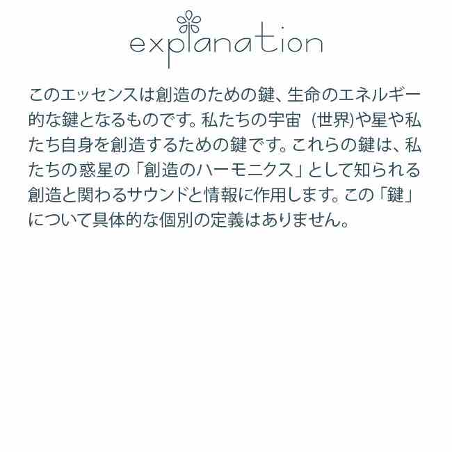 #119 キー#3 アンジェリックエッセンス キーキット Key#3