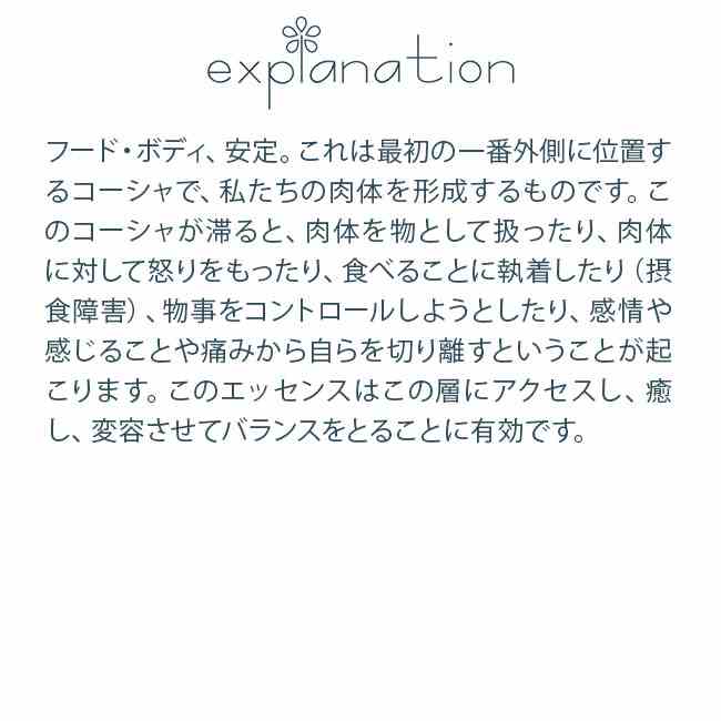 #210 アンナマヤコーシャ アンジェリックエッセンス コーシャキット Annamaya Kosha