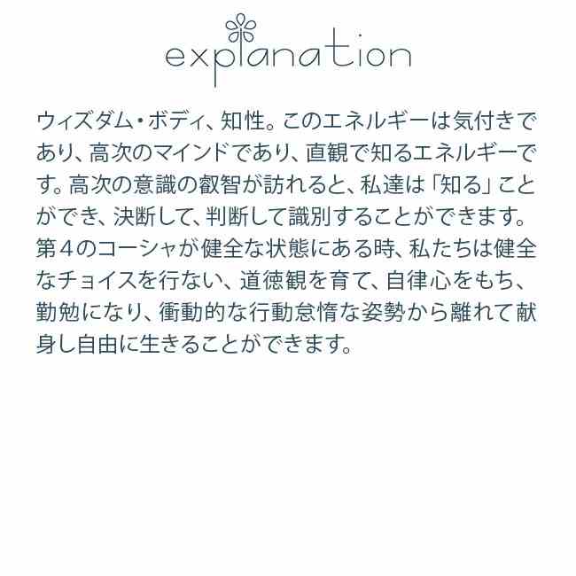 #213 ヴィジナナマヤコーシャ アンジェリックエッセンス コーシャキット Vijinanamaya Kosha