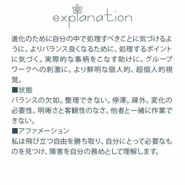 【5/14は！ポイント9倍】 香彩堂 HANGAインセンス（雪） HGI-09