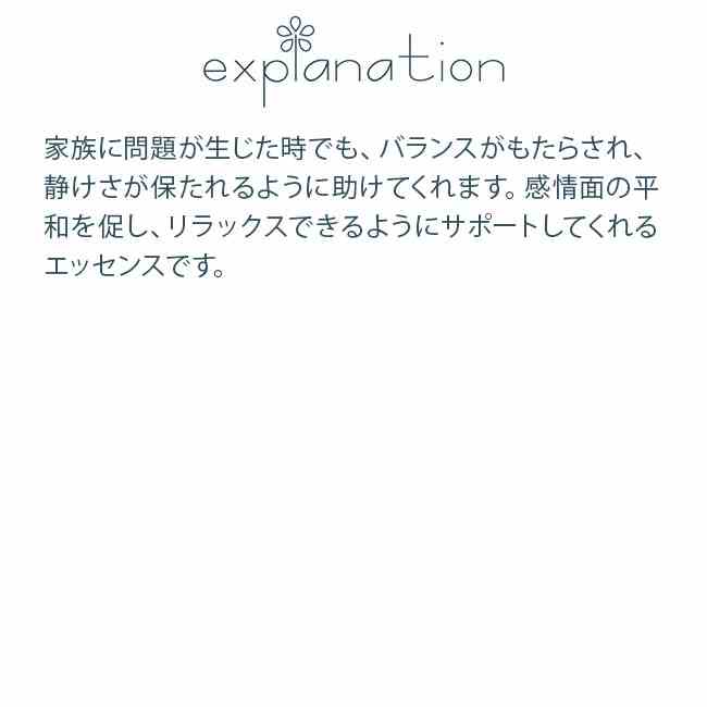カーム アラレタマ キッズキット