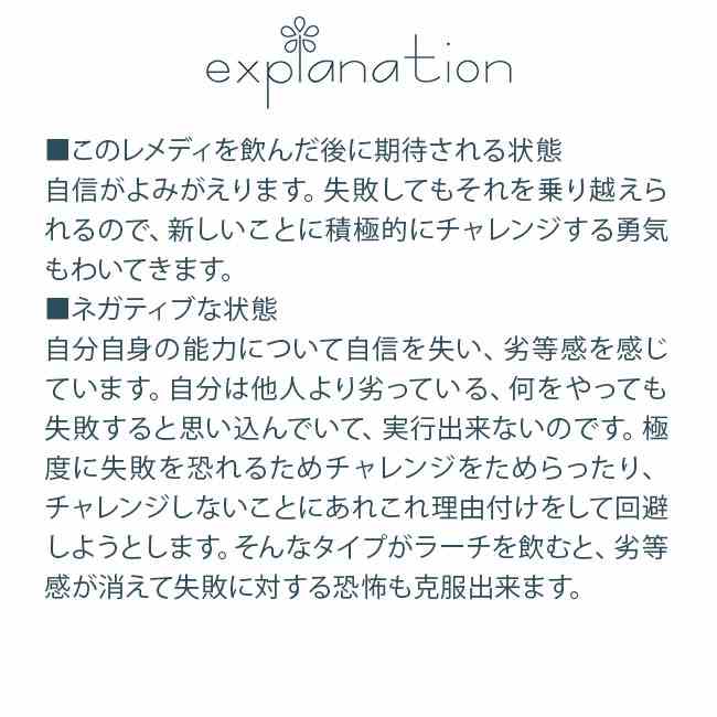 ラーチ バッチフラワーレメディ 日本国内正規品 グリセリン ネルソン