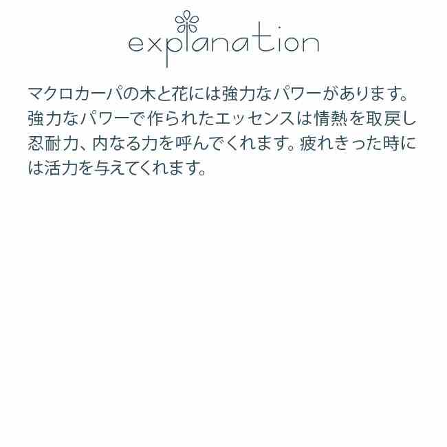 マクロカーパ オーストラリアンブッシュ シングルエッセンス フラワーエッセンス
