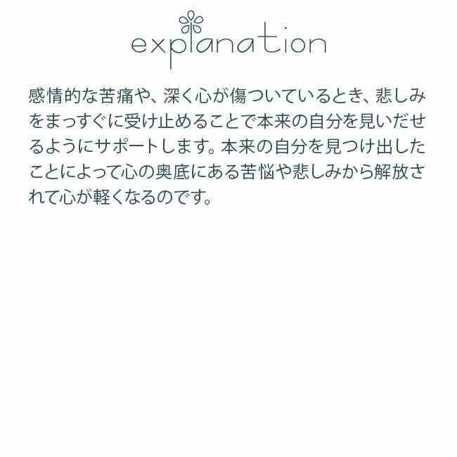 スタートデザートピー オーストラリアンブッシュ シングルエッセンス フラワーエッセンス