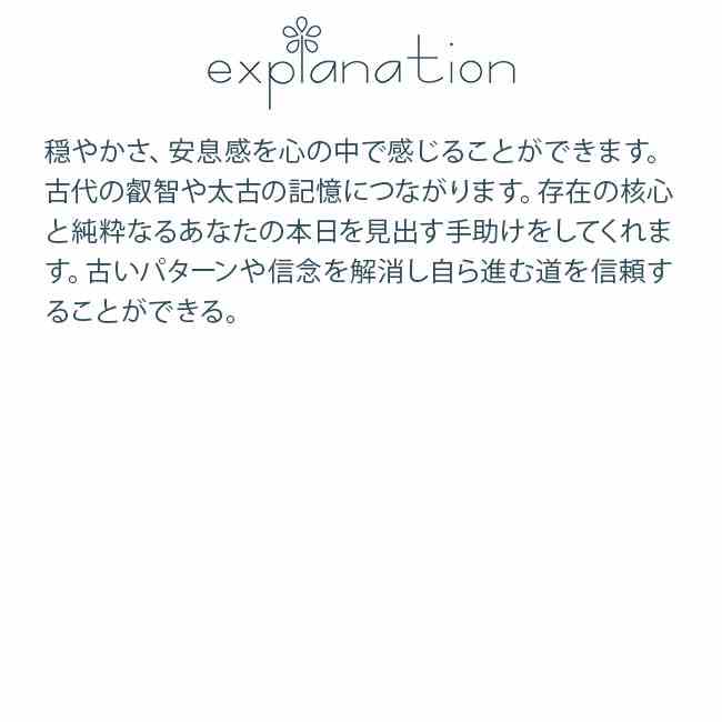 アンタークティックエッセンス 南極エッセンス オーストラリアンブッシュ ライトフリークエンシー