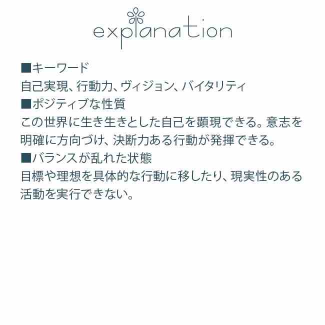 以花伝心〜桜〜