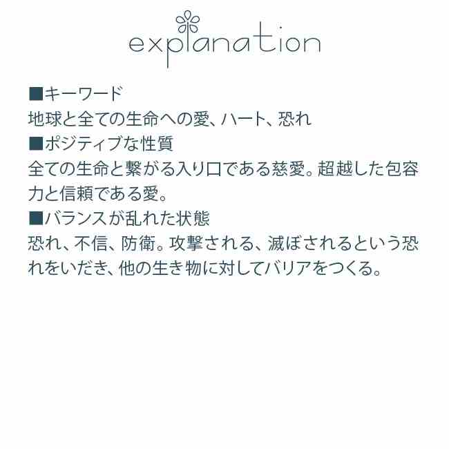 グリーンローズ FESフラワーエッセンス レンジオブライト