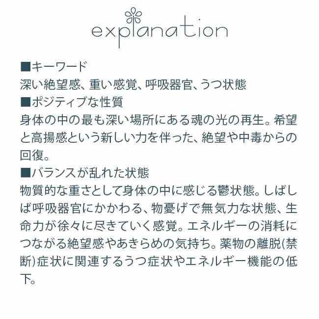 サンプル画像2
