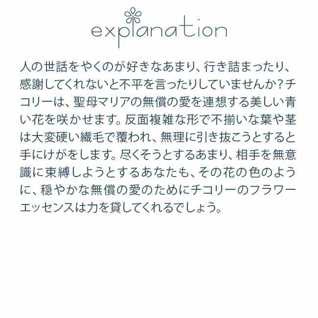 チコリー ヒーリングハーブス バッチ フラワーエッセンス