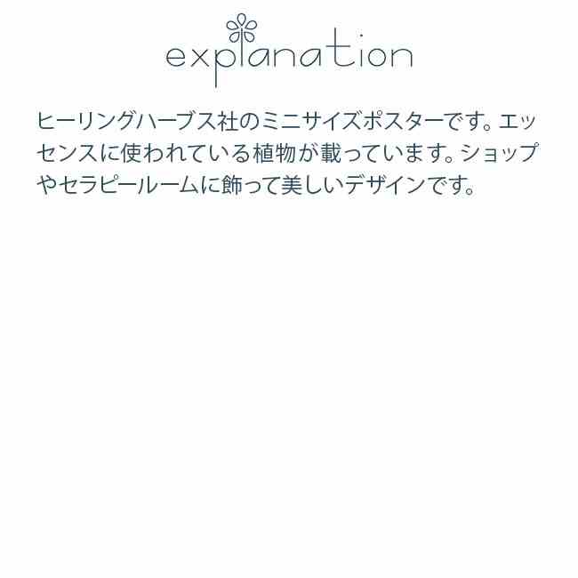 フラワーエッセンス ヒーリングハーブス その他 ミニポスター