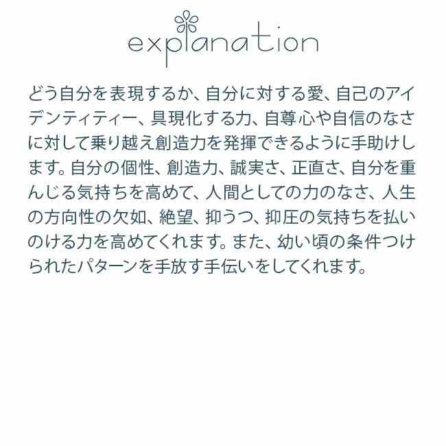 フラワーエッセンスのbloomoltのストレングス ヒマラヤンエンハンサーズ チャクラキット フラワーエッセンス｜アングル2