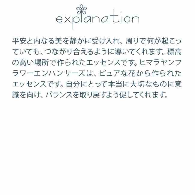ロックプリムラ ヒマラヤンエンハンサーズ