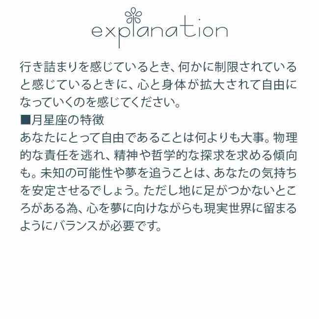 いて座 月 ヒマラヤンエンハンサーズ アストロエッセンス Sagittarius