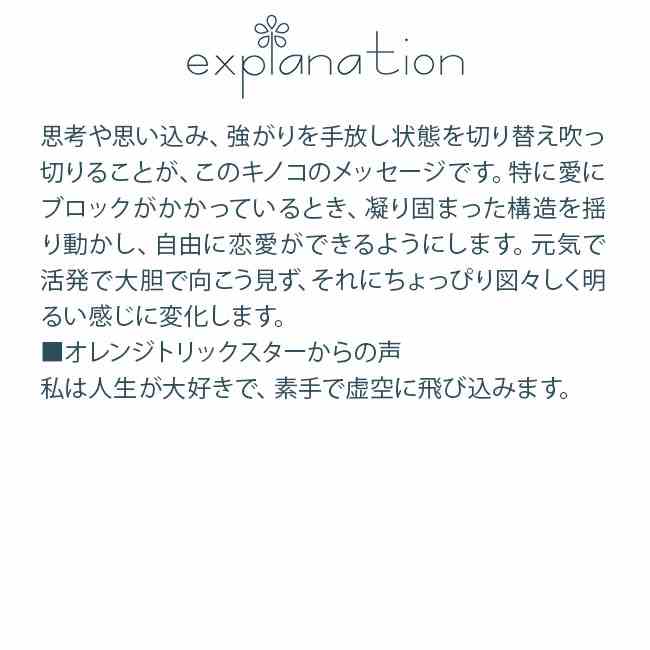 オレンジトリックスターエッセンス ヒマラヤンエンハンサーズ タスマニアンウィル...