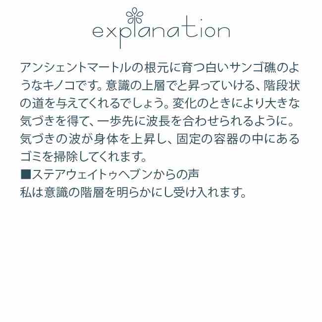 ステアウェイトゥヘブンエッセンス ヒマラヤンエンハンサーズ タスマニアンウィルダネスエッセンス