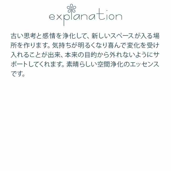 フラワーエッセンス ジェーンベルハワイアンエッセンス コンビネーションフォーミュラ クリーンスイープ 浄化 30ml