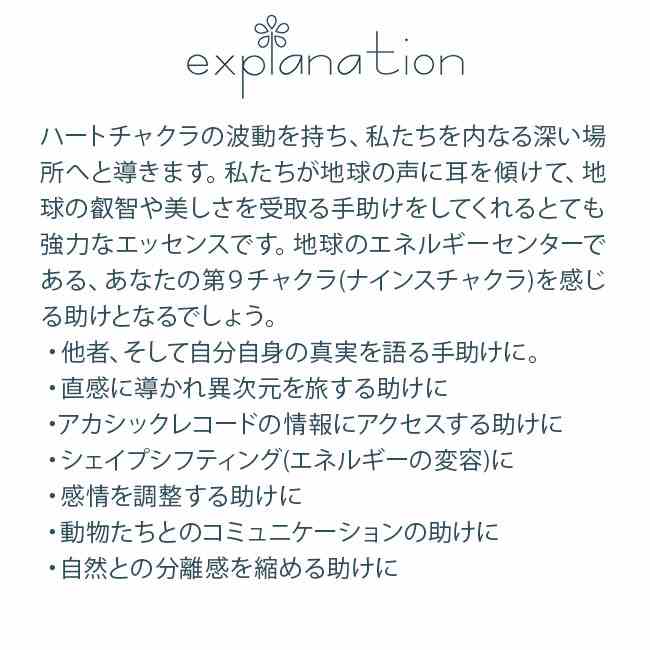 フラワーエッセンスのbloomoltのフラワーエッセンス ラブズアルケミー 9thチャクラエッセンス｜アングル2