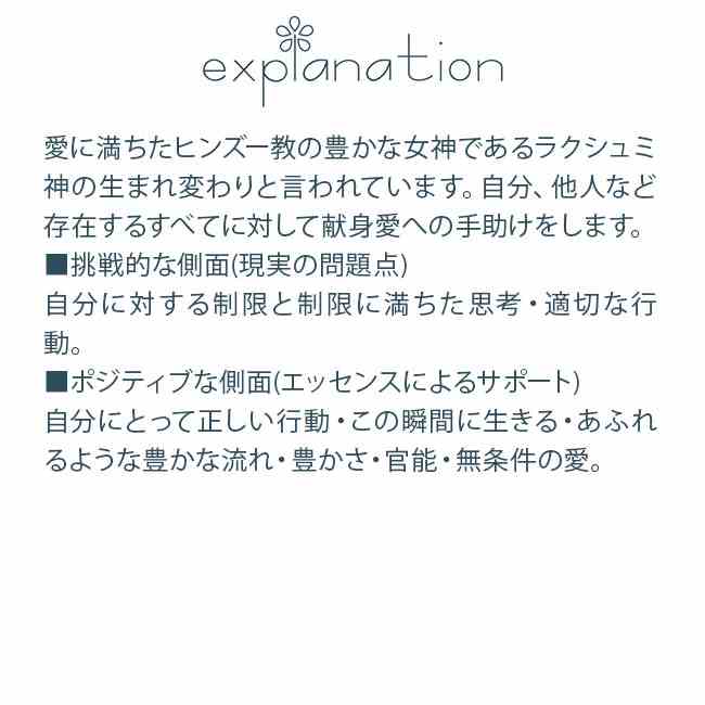フラワーエッセンス パシフィックエッセンス 女神のエッセンス ラダー 2