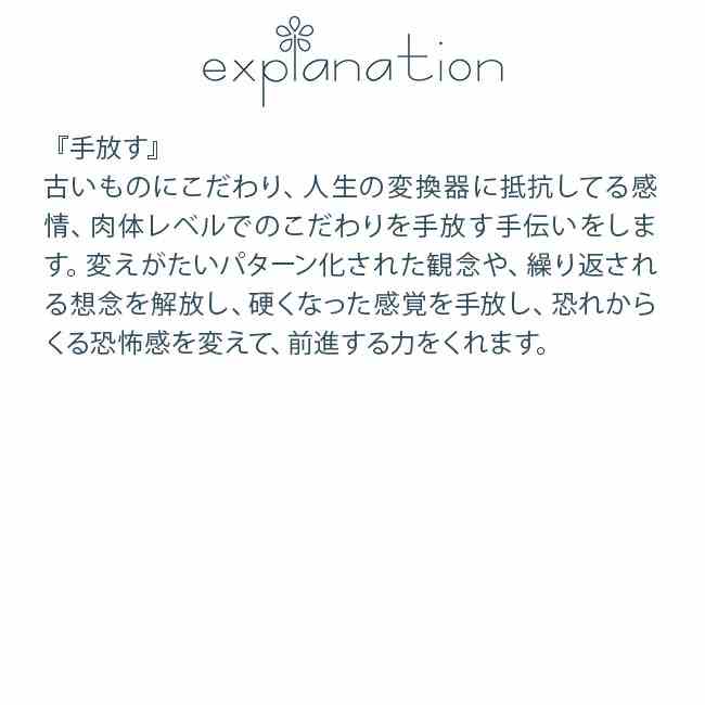 フラワーエッセンス パシフィックエッセンス キット2 ポイズンヘムロック