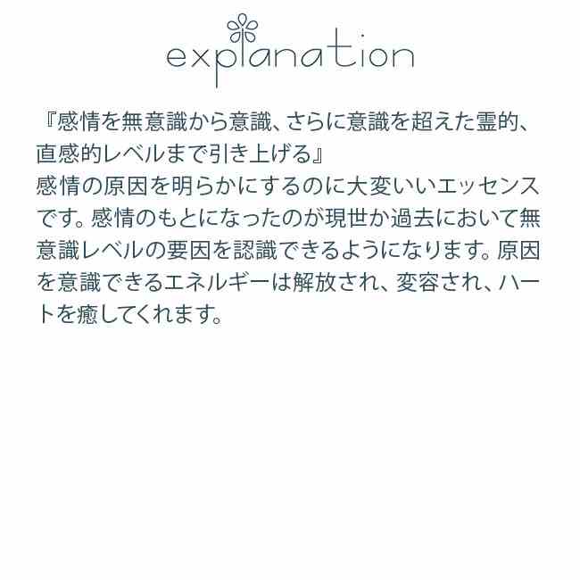 フラワーエッセンス パシフィックエッセンス ジェムエッセンス フックサイト クロ...