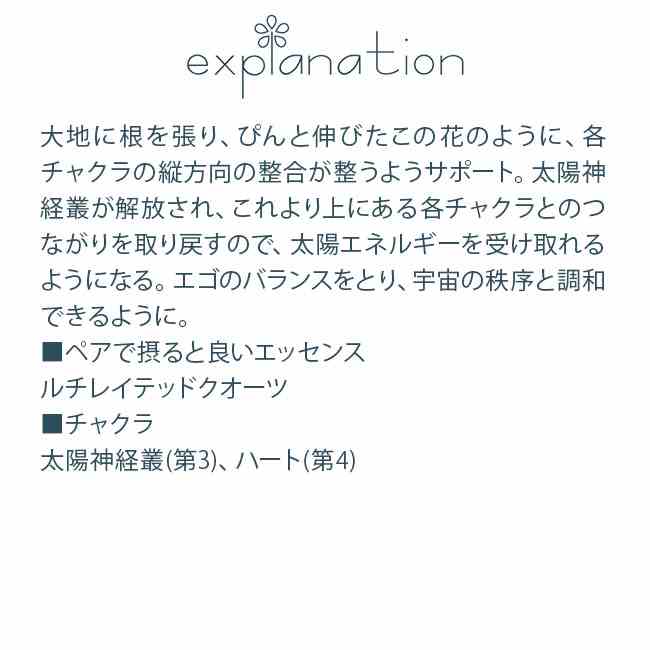 フラワーエッセンス コルテPHIエッセンス アマゾンオーキッドエッセンス サンオーキッド