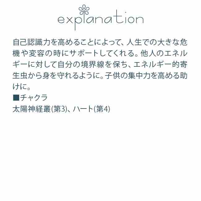 フラワーエッセンス コルテPHIエッセンス マッシュルーム きのこ エッセンス メニーゾーンドポリポア
