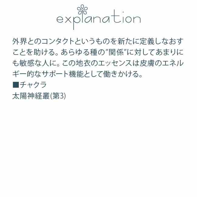フラワーエッセンス コルテPHIエッセンス マッシュルーム きのこ エッセンス ライケン