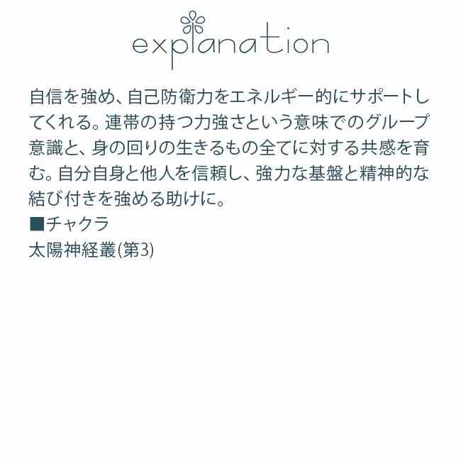 セルフエスティームカクタス コルテPHIエッセンス カクタス サボテン エッセンス