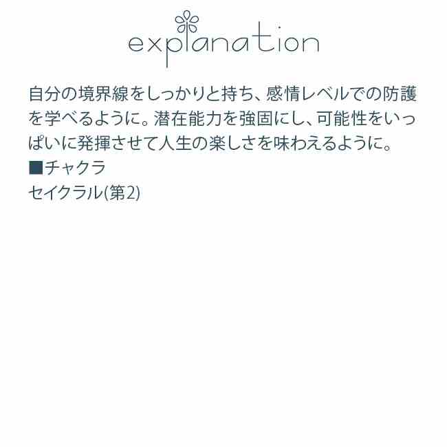 ブルーベリーカクタス コルテPHIエッセンス カクタス サボテン エッセンス