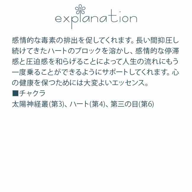フラワーエッセンス コルテPHIエッセンス ワイルドフラワーエッセンス コーンフラワー