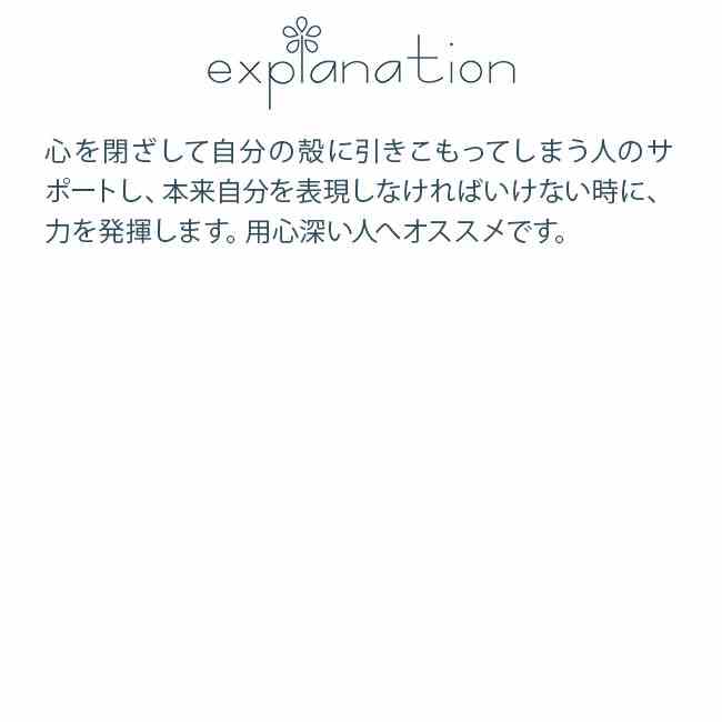 カニ コルテPHIエッセンス シーエッセンス
