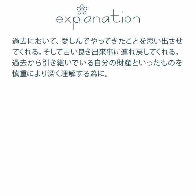 フラワーエッセンス コルテPHIエッセンス ヨーロピアンアニマルエッセンス 火トカゲ