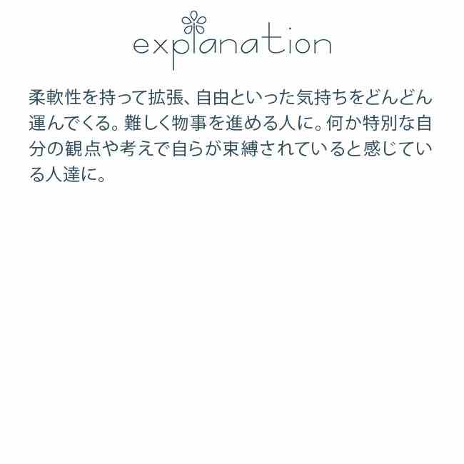 フラワーエッセンス コルテPHIエッセンス ヨーロピアンアニマルエッセンス 馬