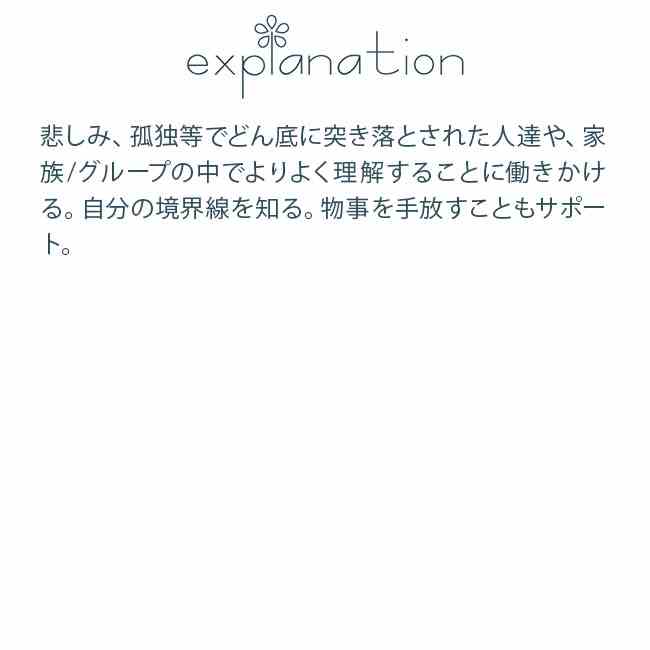 プラナロム エッセンシャルオイル パイン 10ml ｜ 結婚祝い 誕生日 内祝い お返し 贈り物 プレゼント ギフト アロマオイル オーガニック アロマテラピー エッセンシャルオイル 精油 100％天然