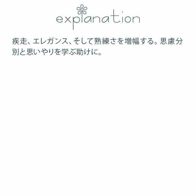 フラワーエッセンス コルテPHIエッセンス アフリカンアニマルエッセンス ヒョウ 2