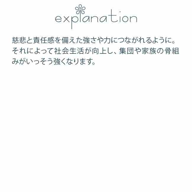 フラワーエッセンス コルテPHIエッセンス アニマルエッセンス2 ゴリラ