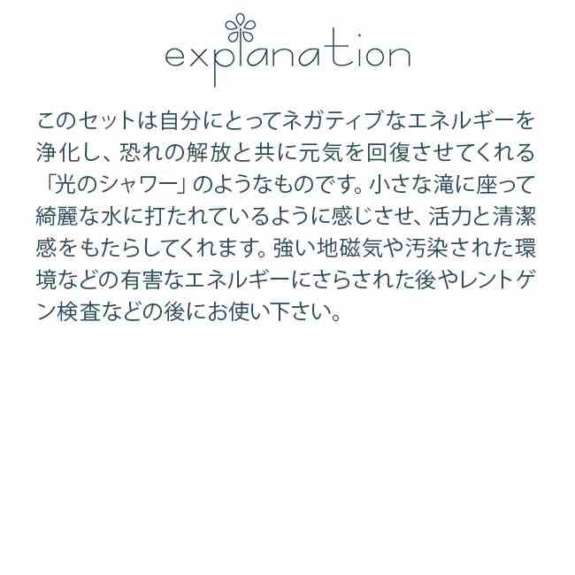 T1&イルカのトリートメントセット コルテPHIエッセンス T1 イルカ フラワーエッセンス