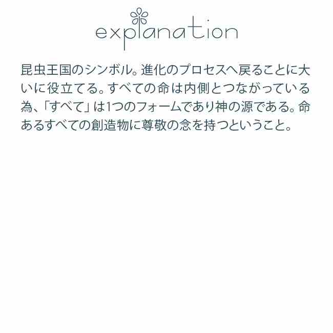 フラワーエッセンス コルテPHIエッセンス クロップサークルエッセンス #12 Ant, Henwoon, UK 1997
