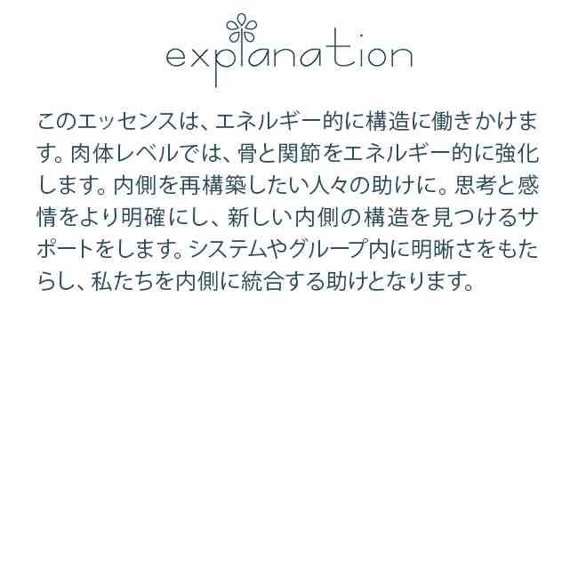 フラワーエッセンス コルテPHIエッセンス クロップサークルエッセンス #210 Tichborne, UK 2019