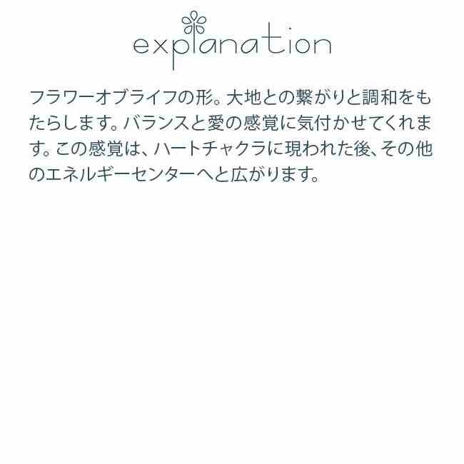 ポイント10倍 生活の木 ガラス かくはん棒 S