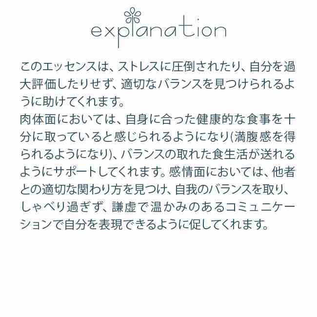 フラワーエッセンス コルテPHIエッセンス アニマルエッセンス ペリカン Pelican