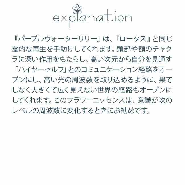 パープルウォーターリリー パワーオブフラワーヒーリング パワーオブフラワーヒーリングエッセンス