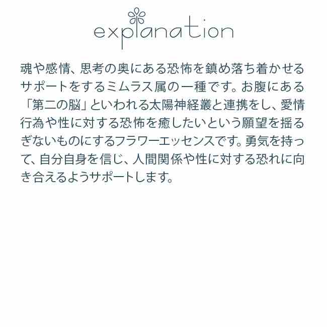 モンキーフラワー パワーオブフラワーヒーリング その他シングルエッセンス