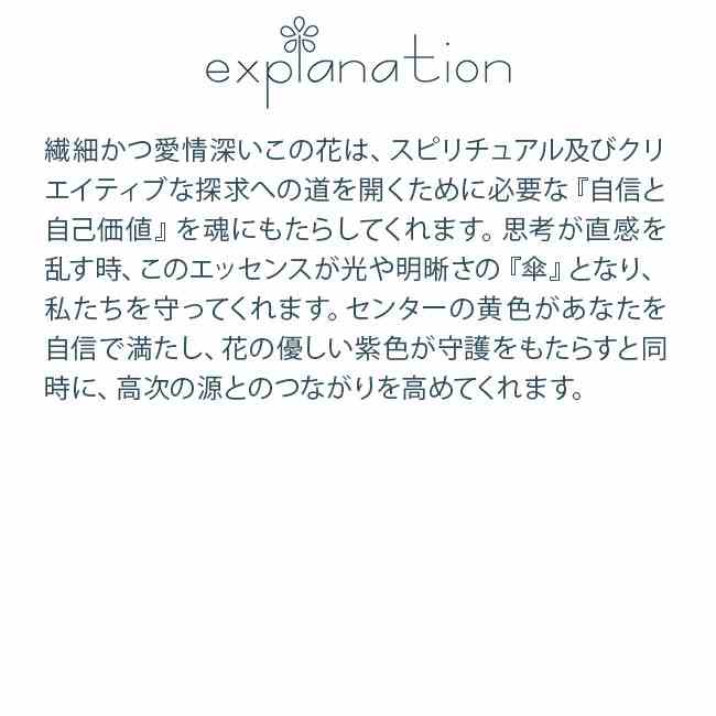 パープルアスター パワーオブフラワーヒーリング その他シングルエッセンス フラワーエッセンス bloomolt-10001478 フラワーエッセンスのbloomolt サンプル画像2