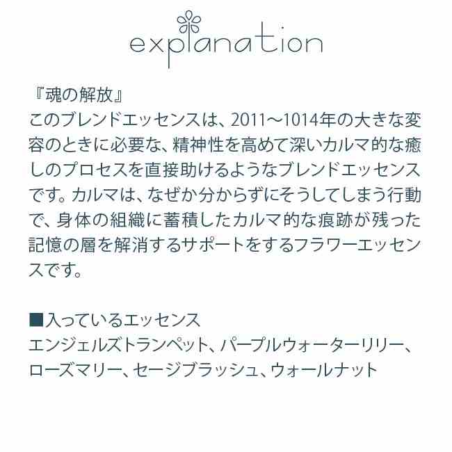 カルミックインプリントブレンド パワーオブフラワーヒーリング フラワーエッセンス