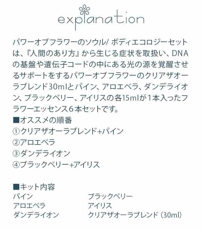 ソウル ボディエコロジーキット パワーオブフラワーヒーリング その他
