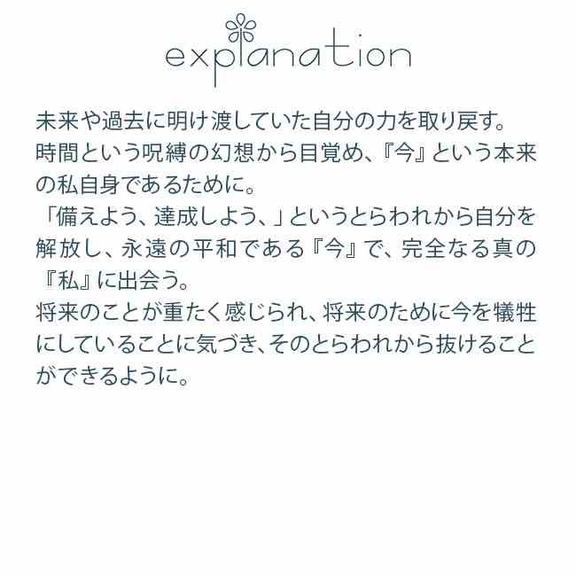 ヴィンテージテンプル騎士団ギフトパーカー