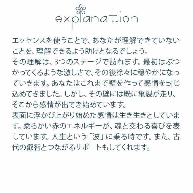 フラワーエッセンス セイクレッドエイトエッセンス エレメンタルエッセンス オーシャンジャスパー Ocean Jasper bloomolt-10003143 フラワーエッセンスのbloomolt サンプル画像2