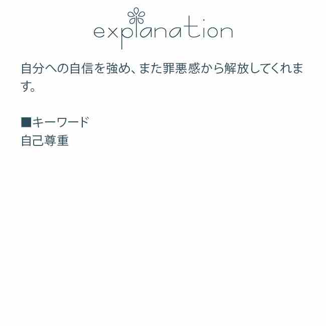 フラワーエッセンス スピリットインネイチャー ストロベリー 自己尊重